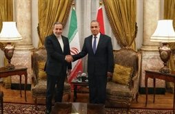 I.R. Iran, Ministry of Foreign Affairs- Iran FM Araghchi meets Egyptian counterpart in Cairo